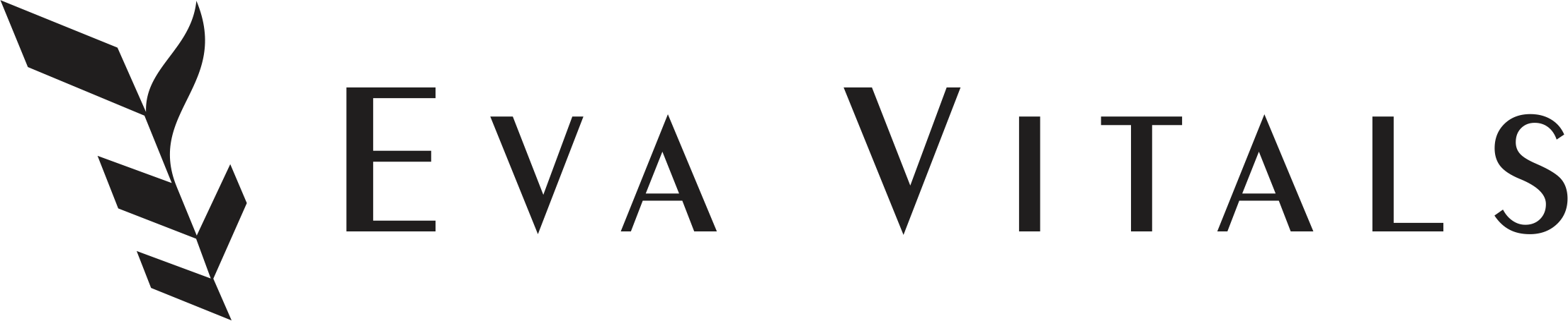 Equity 8 LLC Equity 8 LLC